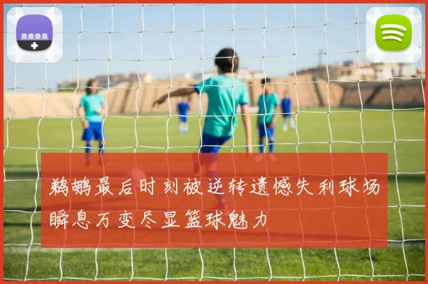 鹈鹕最后时刻被逆转遗憾失利球场瞬息万变尽显篮球魅力