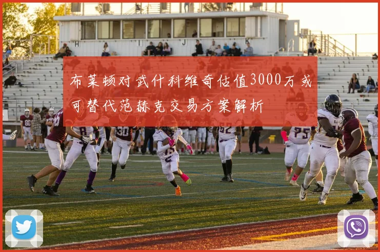 布莱顿对武什科维奇估值3000万或可替代范赫克交易方案解析