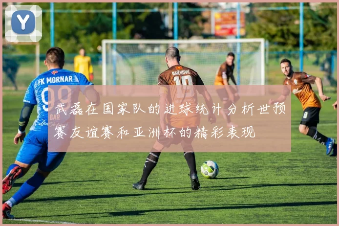 武磊在国家队的进球统计分析世预赛友谊赛和亚洲杯的精彩表现