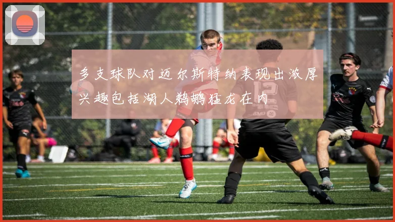 多支球队对迈尔斯特纳表现出浓厚兴趣包括湖人鹈鹕猛龙在内